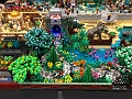 SEA-Jess_BrickCon_10-2019 (228)